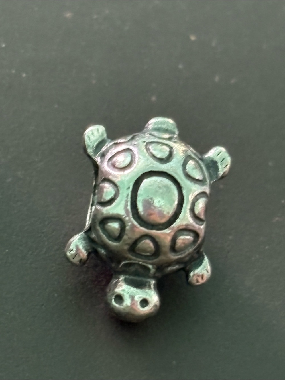 Pandora Turtle Charm Accent